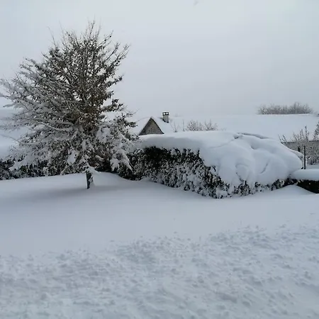 別荘 La Maison Des Hirondelles Cussac (Cantal)