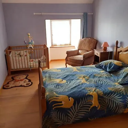 La Maison Des Hirondelles Cussac (Cantal)