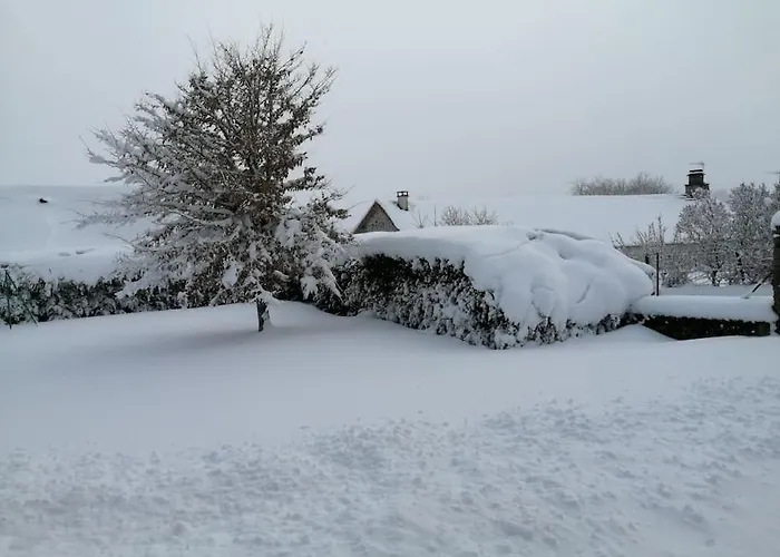 Hébergement de vacances La Maison Des Hirondelles Cussac (Cantal)